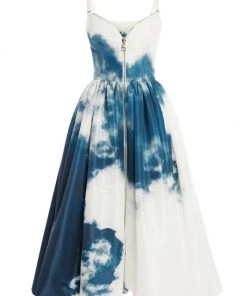 Alexander McQueen Fit & Flare Zip Sky Print Gown