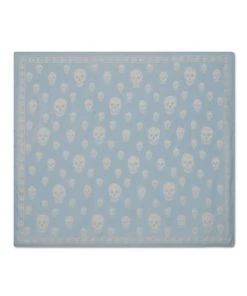 Alexander McQueen Scull Print Scarf