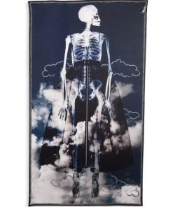 Alexander McQueen Skeleton Cloud Silk Shawl