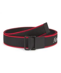 Alexander McQueen Camera Belt For Men